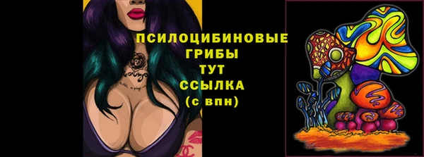 молекула духа Березники