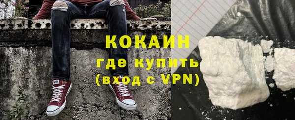 сатива Магас