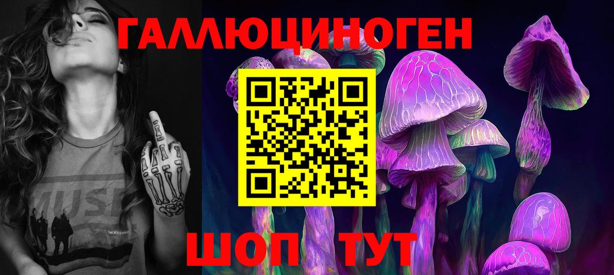 Галлюциногенные грибы Psilocybine cubensis Нефтеюганск