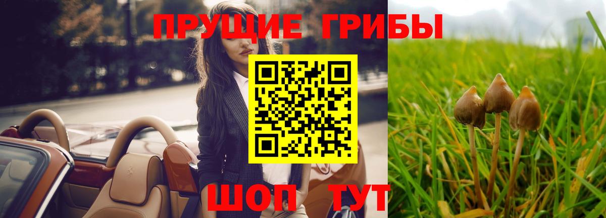 дарнет шоп  Псилоцибиновые грибы Cubensis  Вход с VPN  Нефтеюганск 
